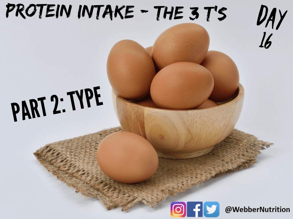 protein intake - type