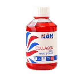 gbr collagen