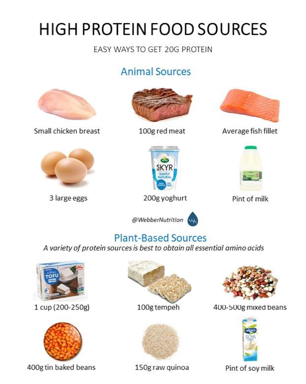 high protein food sources